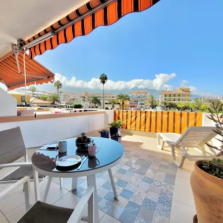 Agave Teide View By Tor *