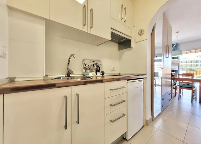 Agave Teide View By Tor