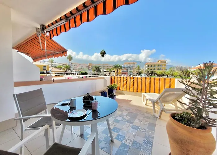 Agave Teide View By Tor *